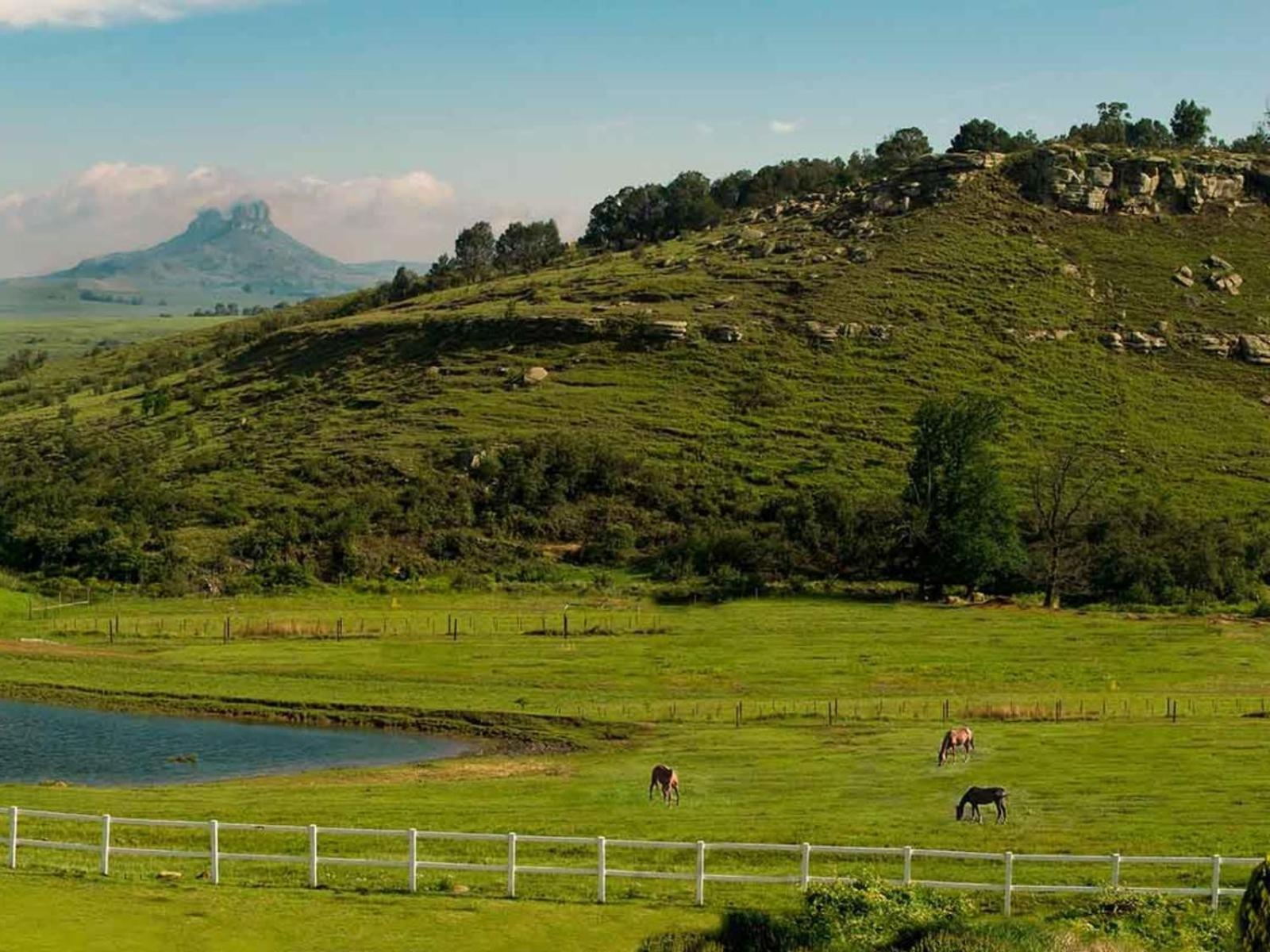 Oaklands Farm Stay Van Reenen Kültér fotó